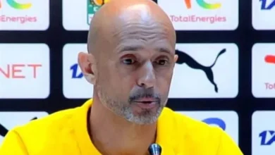 مدرب صن داونز في المؤتمر الصحفي