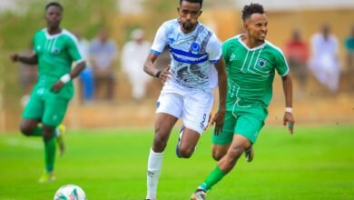 الهلال والوادي دوري النخبة